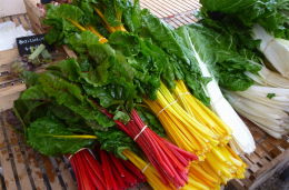 Banc de marché : blettes bio de différentes couleurs. Bergerac, printemps 2016